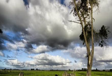 南宫体育-关于关键时刻密尔沃基雄鹿备战NBA常规赛，造点机会细节曝光，压力陡增，控场能力受关注的信息