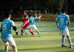  第一纵队演员表 